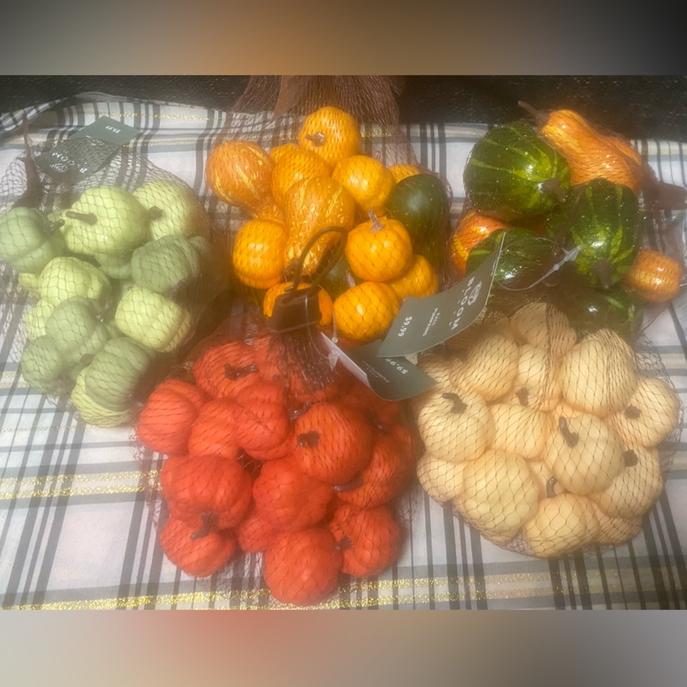 Miniature Fall Pumpkin Gourd Lot